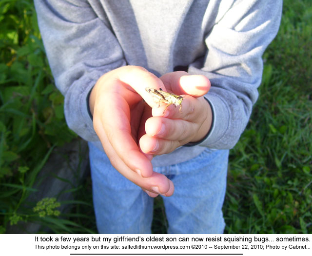 salted lithium photo header