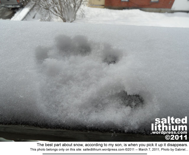 salted lithium photo header