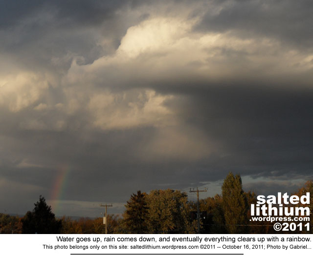 salted lithium photo header