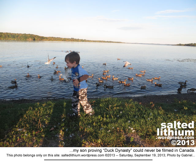 salted lithium photo header