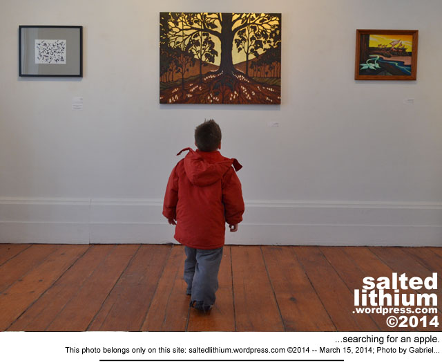 salted lithium photo header