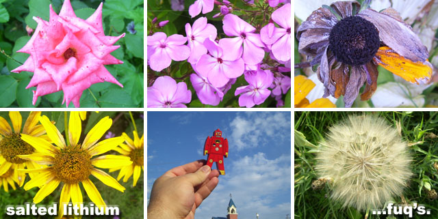 salted lithium page header